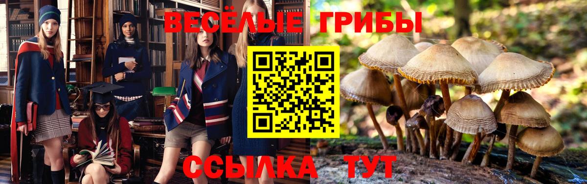 Псилоцибиновые грибы прущие грибы Сарапул