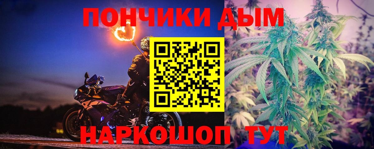 Бошки марихуана марихуана Сарапул